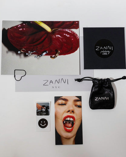 Zanni NYC product packaging including a red lip gloss, black pouch, and promotional materials on a white background.