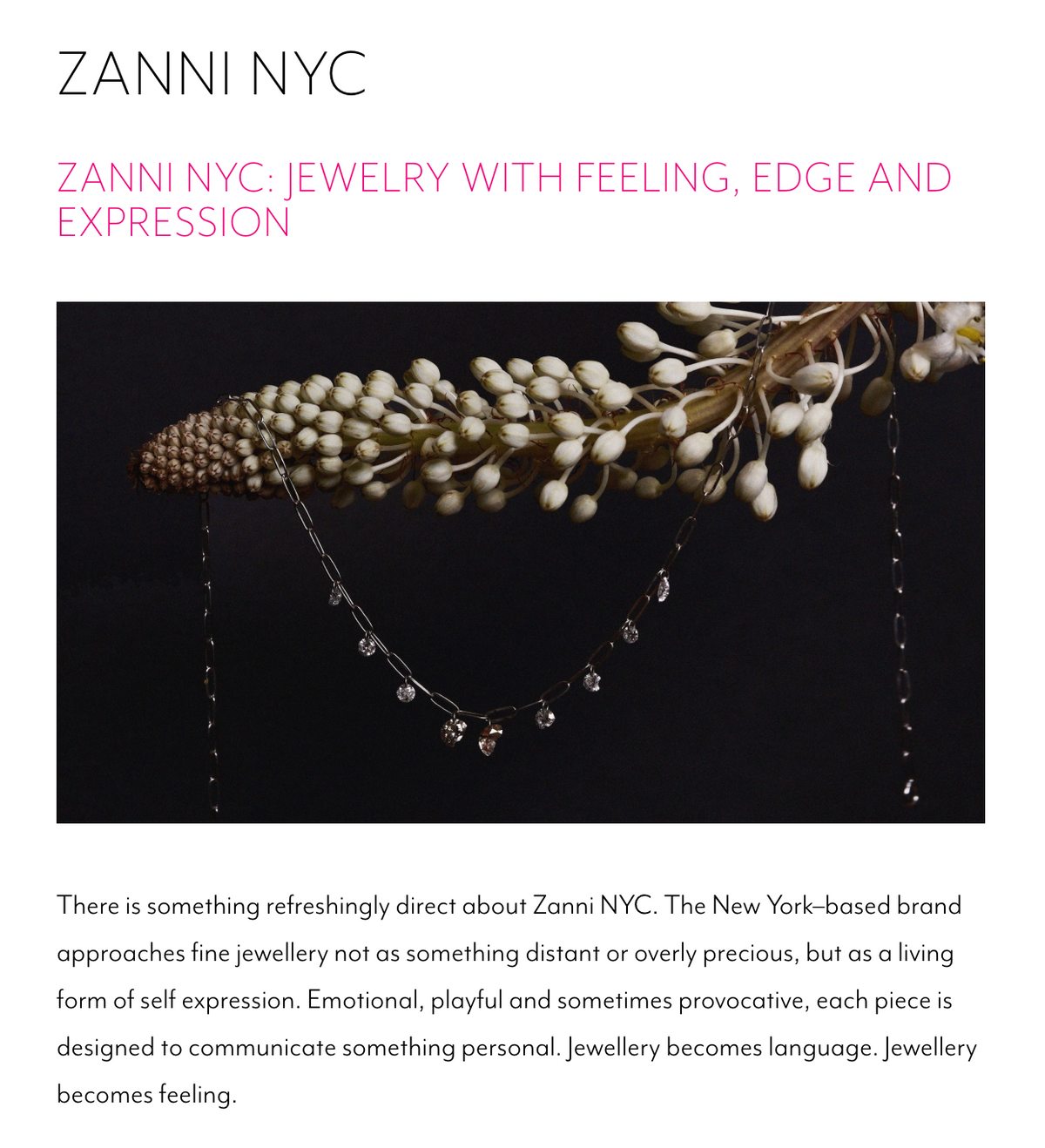 Zanni NYC jewelry with a plant on a dark background