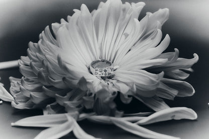 Debris Signet, STERLING SILVER
